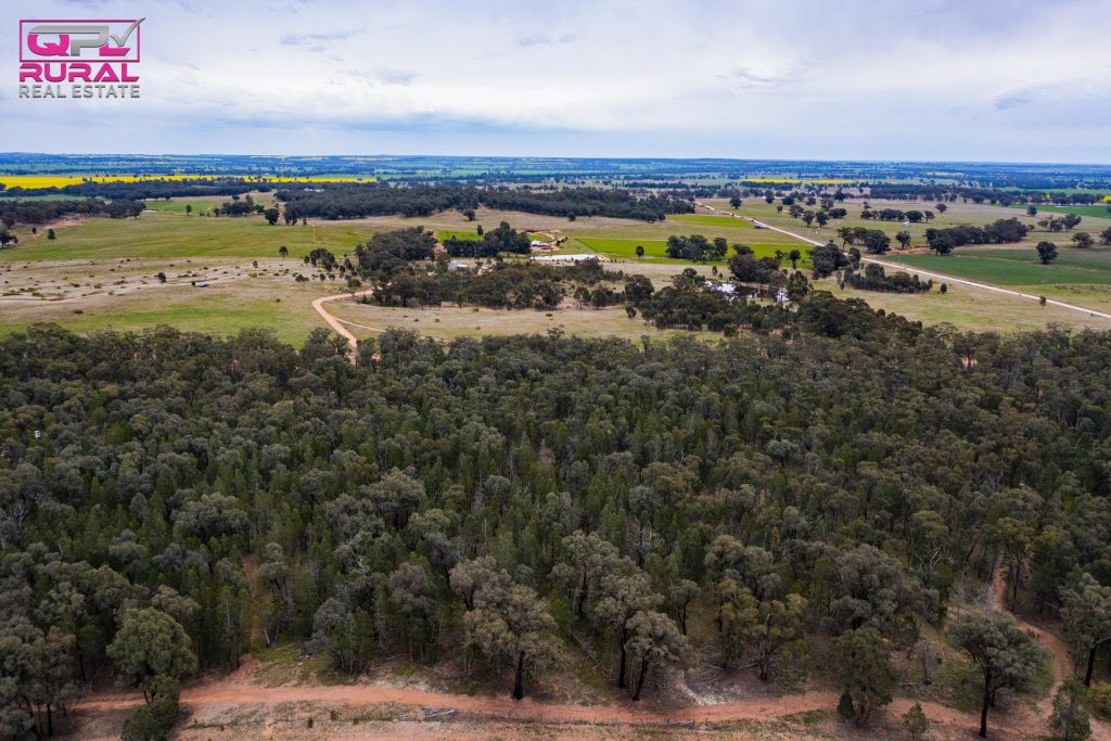 186 Sheriffs Road, Temora NSW 2666 - photo 13