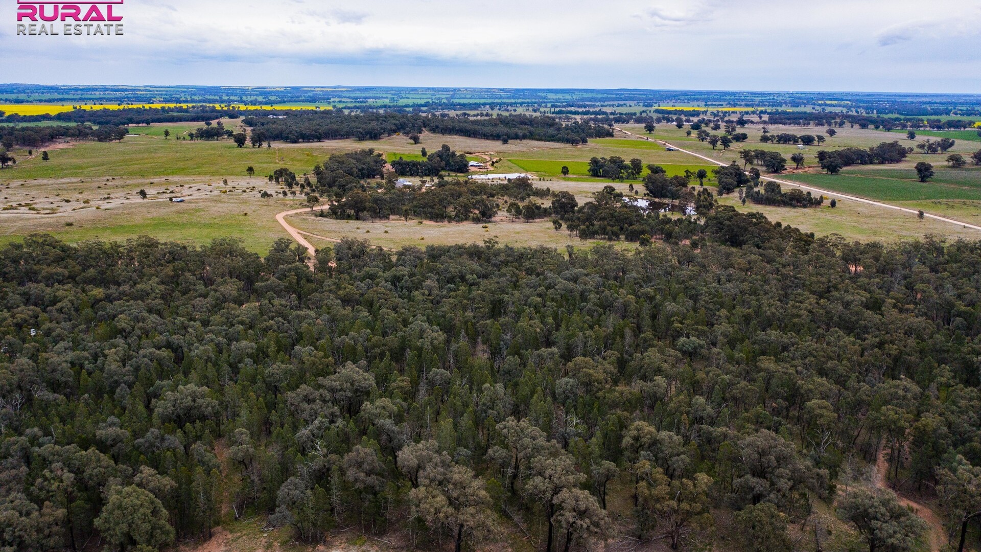 186 Sheriffs Road, Temora NSW 2666 - photo 13