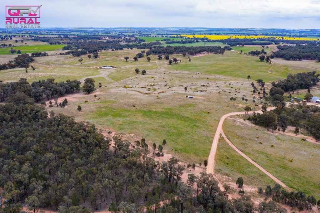 186 Sheriffs Road, Temora NSW 2666 - photo 15