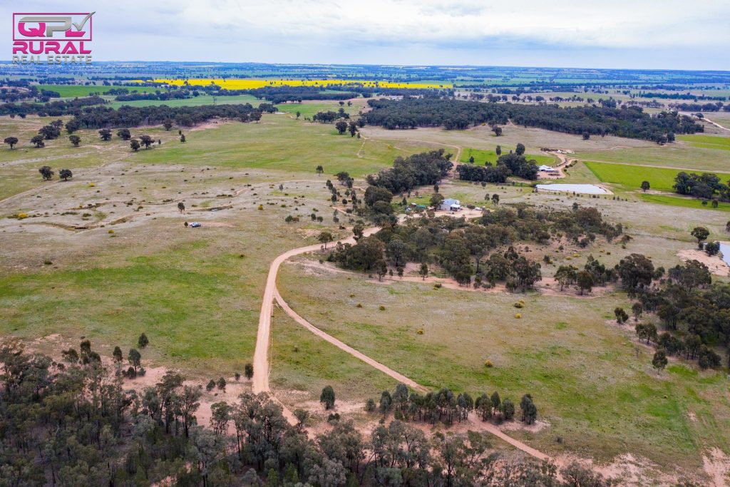 186 Sheriffs Road, Temora NSW 2666 - photo 16