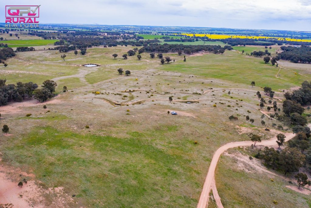 186 Sheriffs Road, Temora NSW 2666 - photo 19