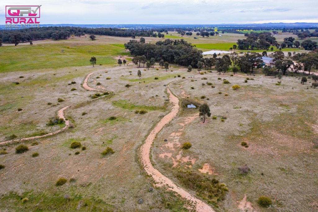 186 Sheriffs Road, Temora NSW 2666 - photo 20