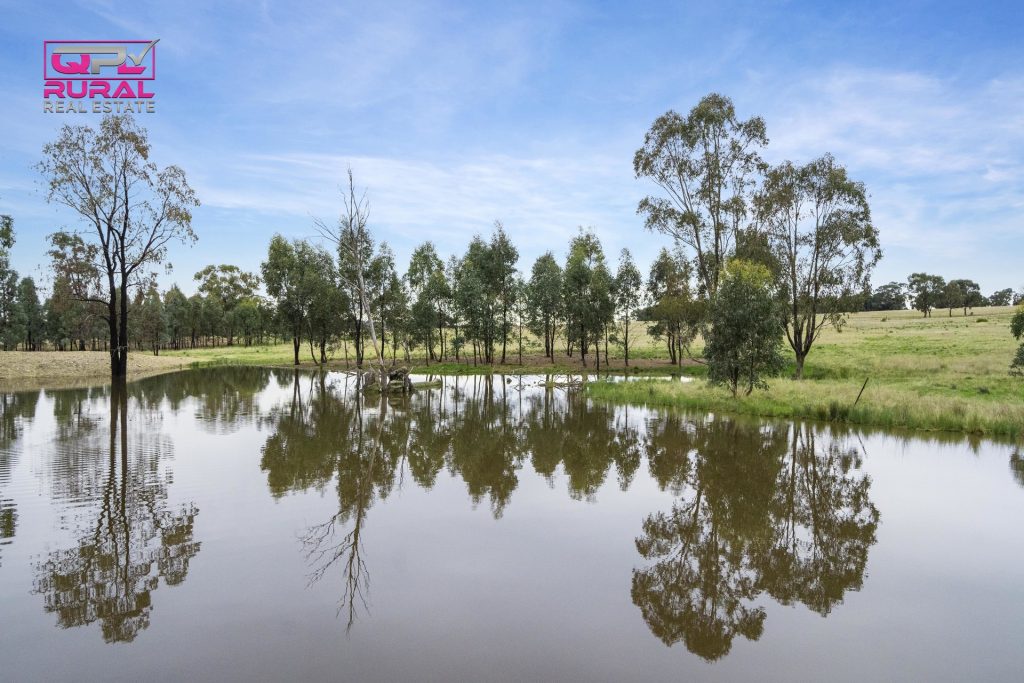 186 Sheriffs Road, Temora NSW 2666 - photo 3