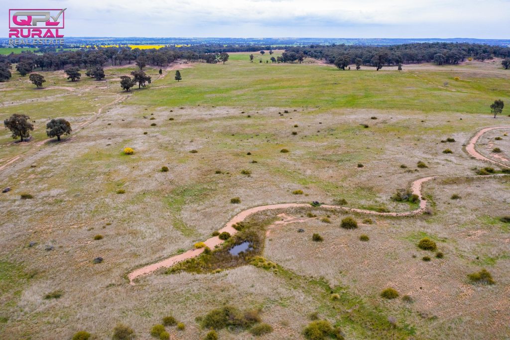 186 Sheriffs Road, Temora NSW 2666 - photo 21