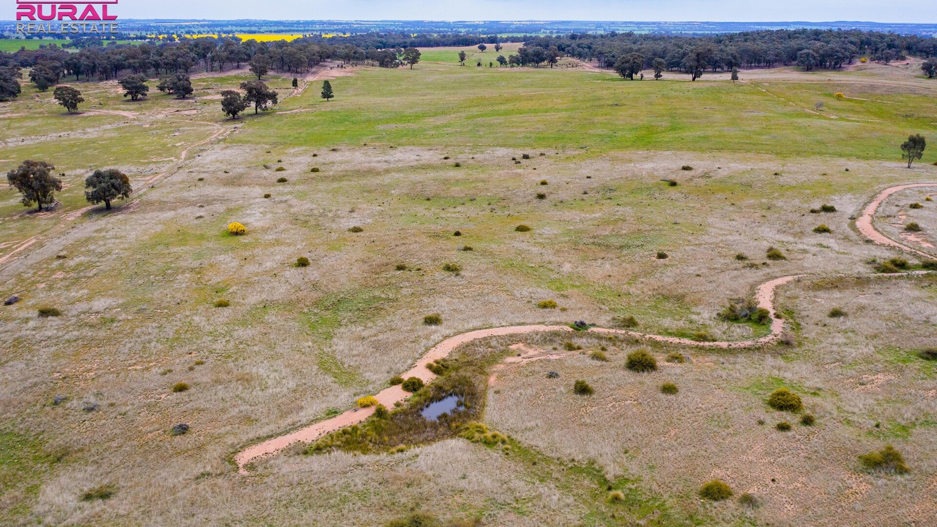 186 Sheriffs Road, Temora NSW 2666 - photo 21