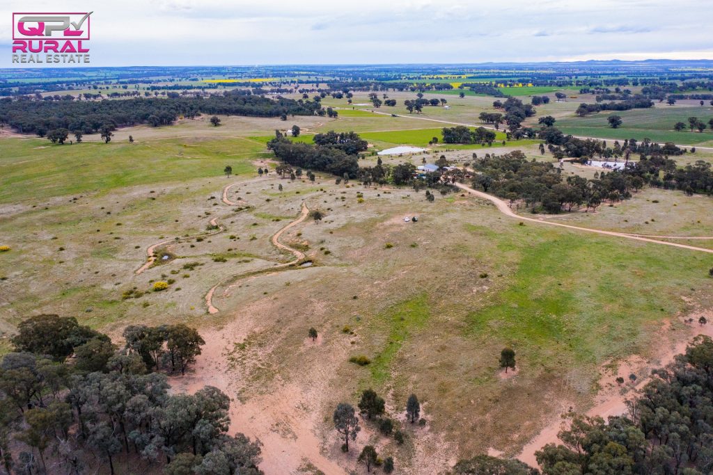 186 Sheriffs Road, Temora NSW 2666 - photo 22