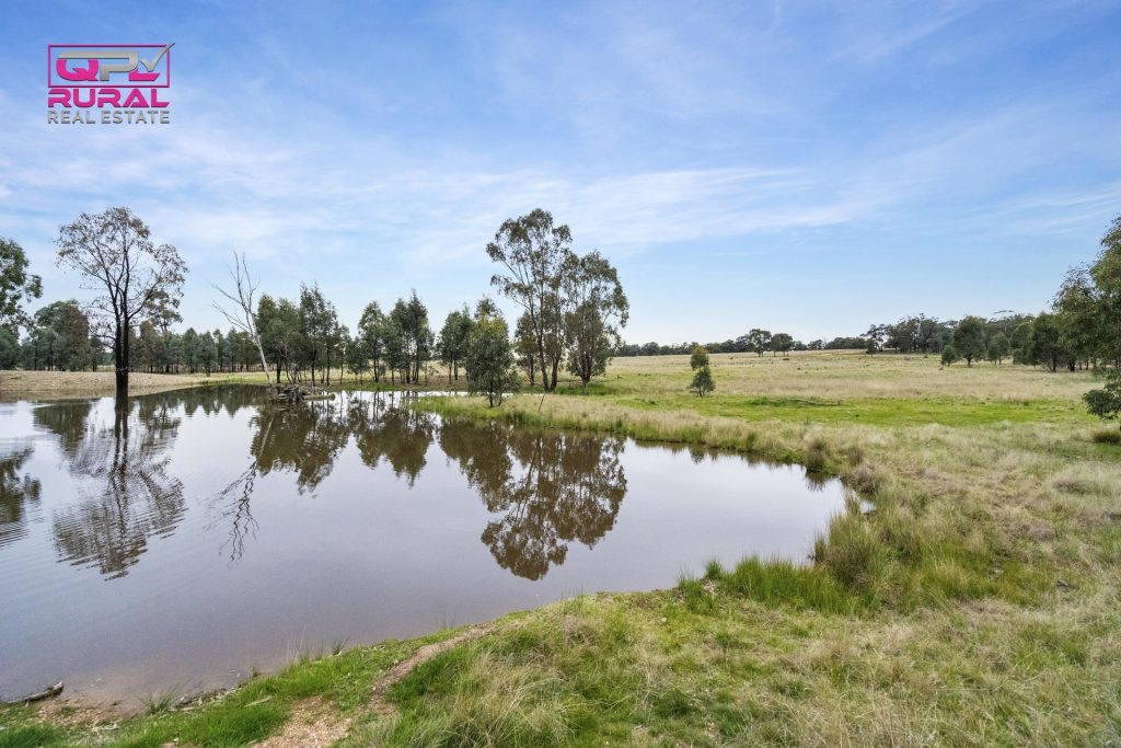 186 Sheriffs Road, Temora NSW 2666 - photo 4