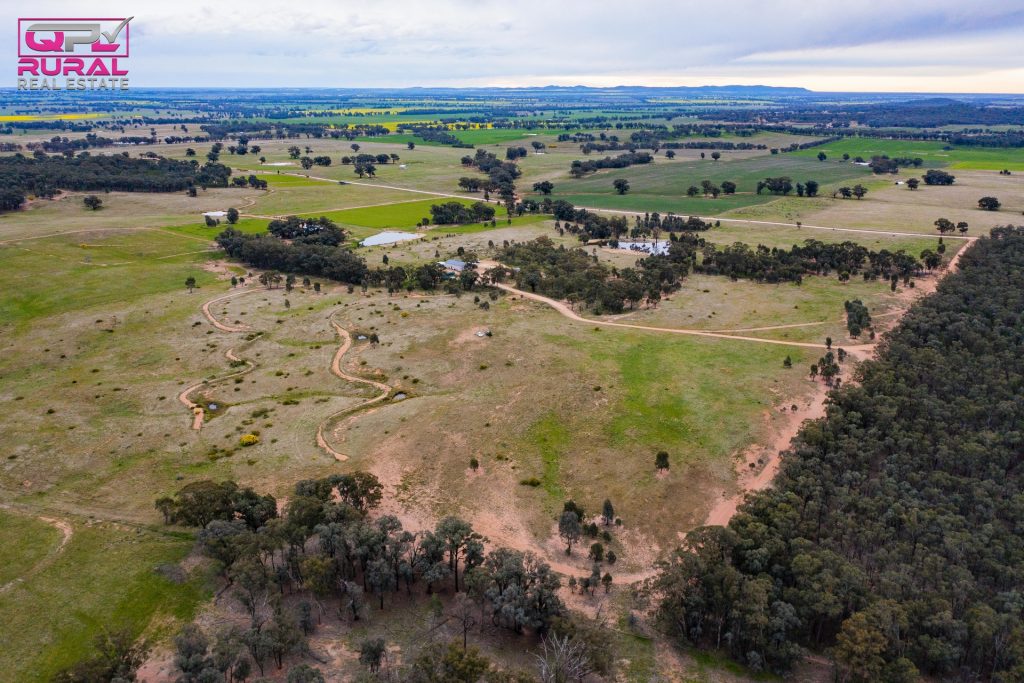 186 Sheriffs Road, Temora NSW 2666 - photo 5