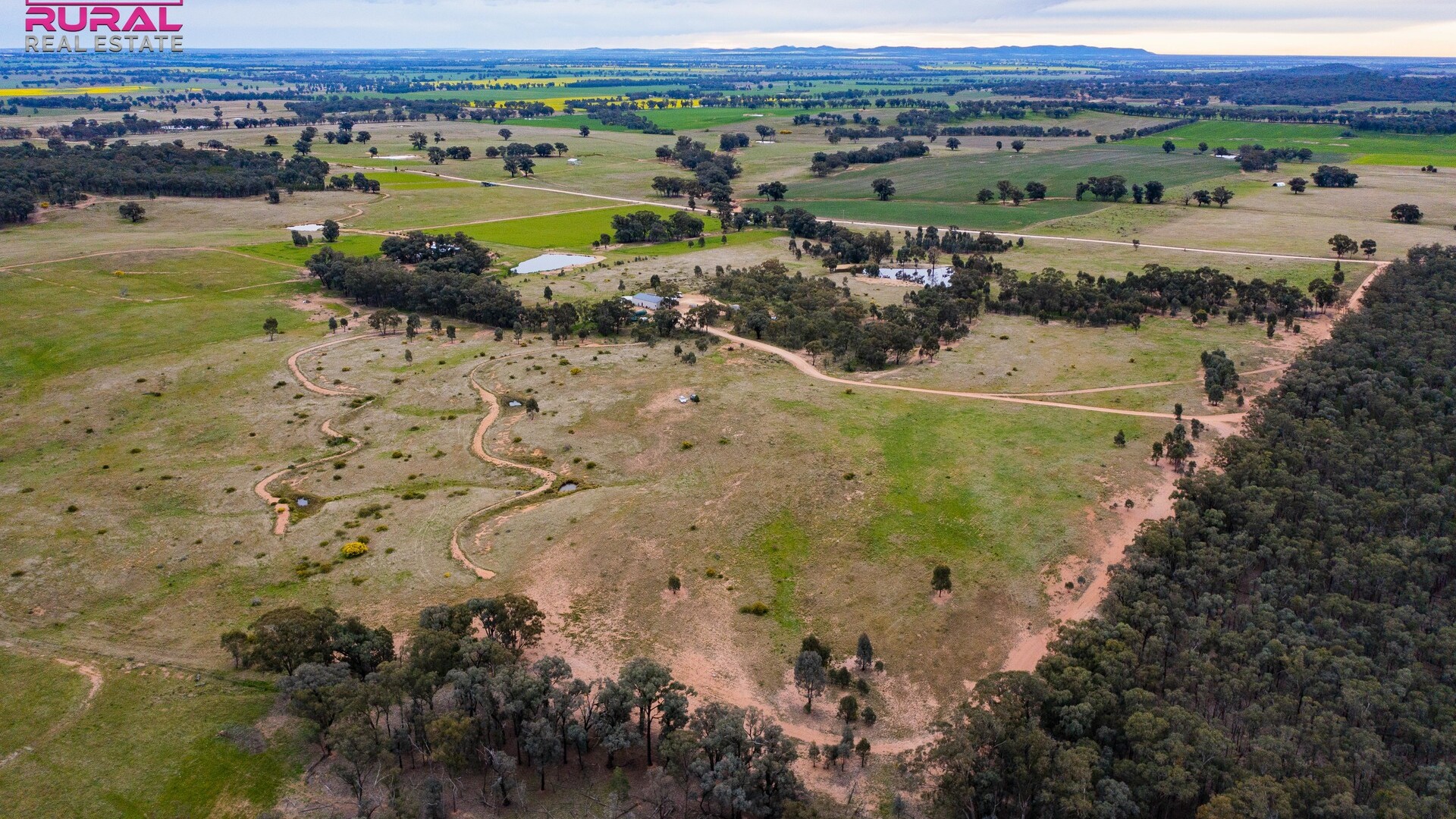 186 Sheriffs Road, Temora NSW 2666 - photo 5