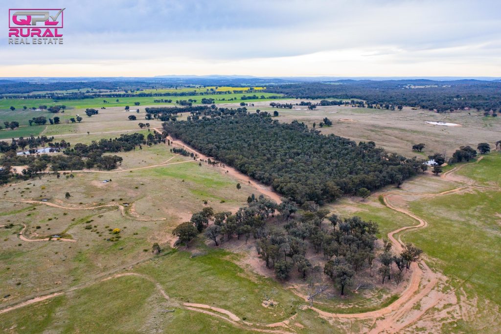 186 Sheriffs Road, Temora NSW 2666 - photo 6