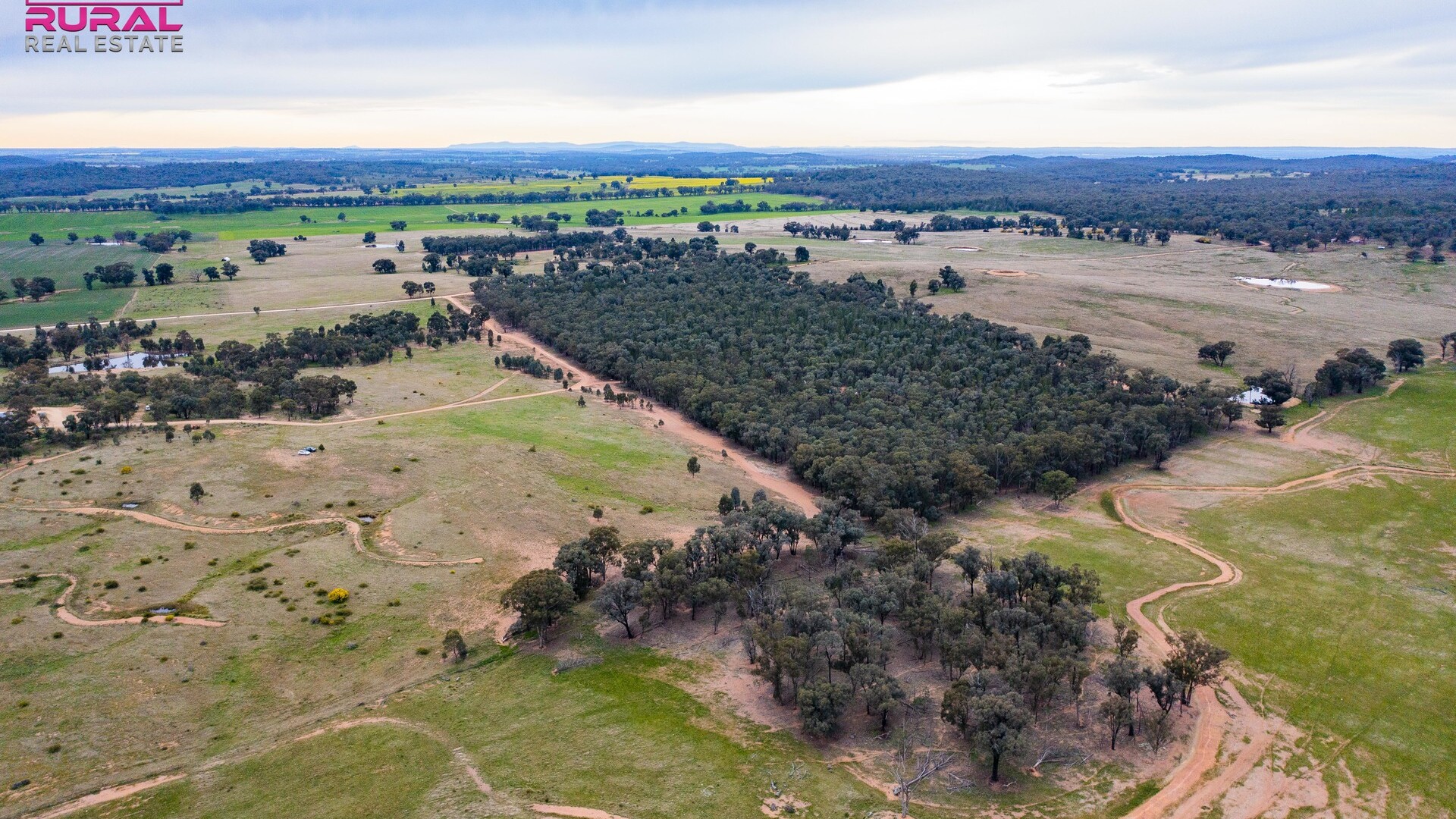 186 Sheriffs Road, Temora NSW 2666 - photo 6