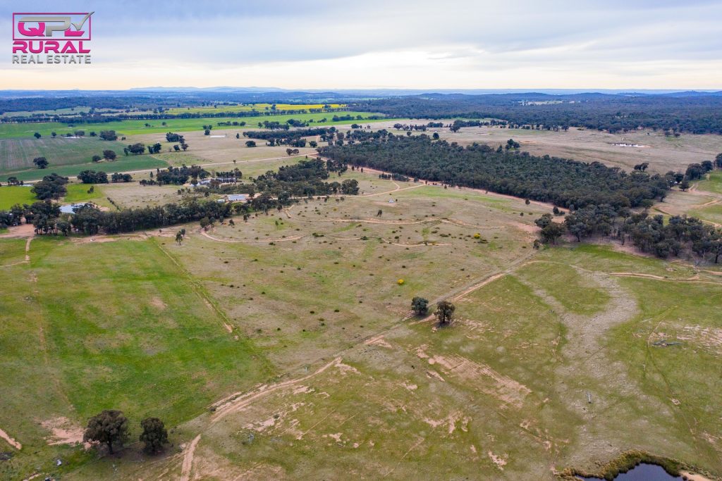 186 Sheriffs Road, Temora NSW 2666 - photo 7
