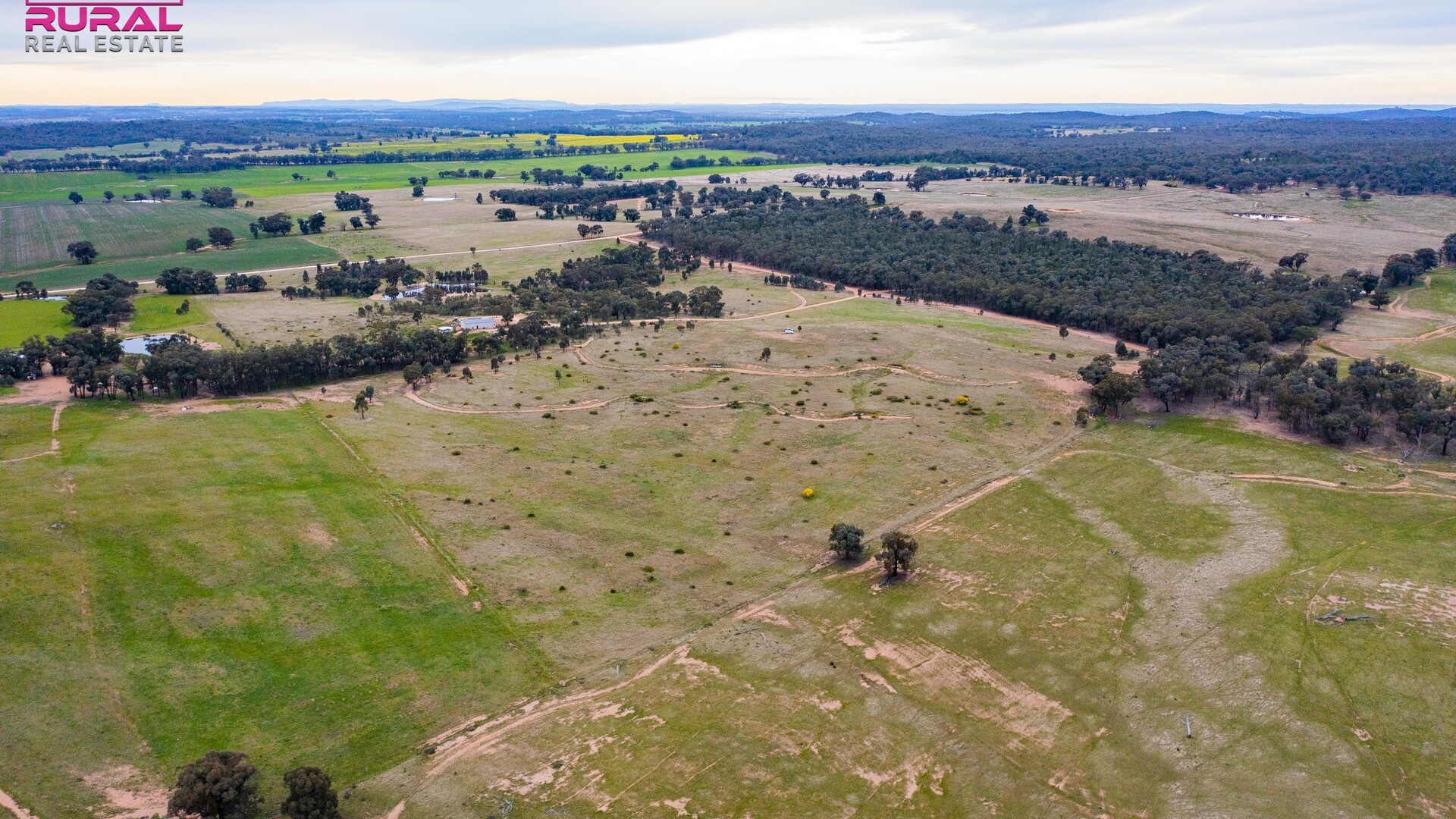 186 Sheriffs Road, Temora NSW 2666 - photo 7