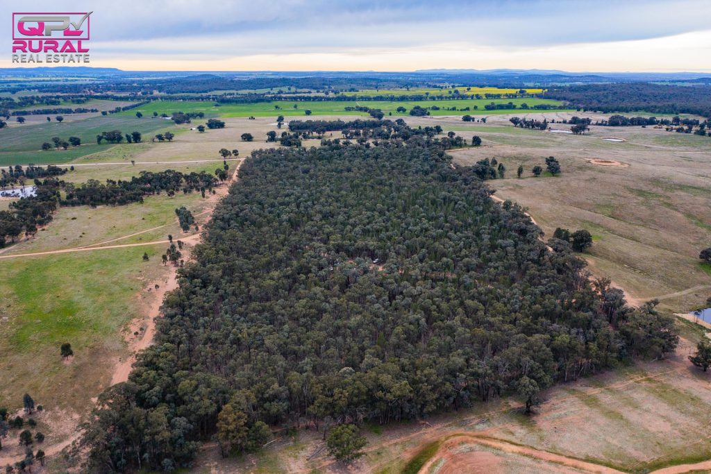 186 Sheriffs Road, Temora NSW 2666 - photo 8