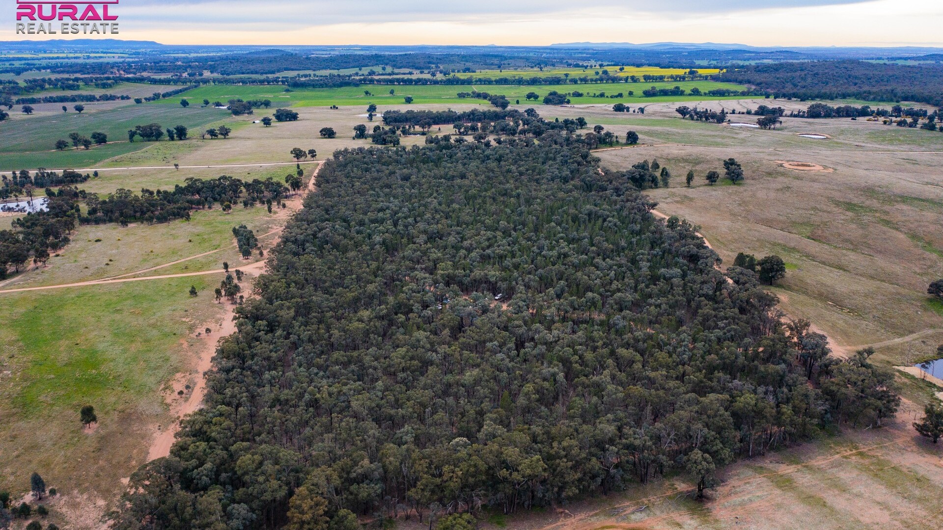 186 Sheriffs Road, Temora NSW 2666 - photo 8