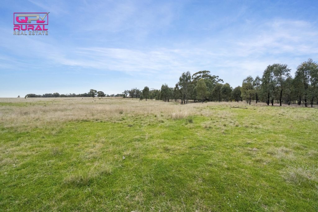186 Sheriffs Road, Temora NSW 2666 - photo 9
