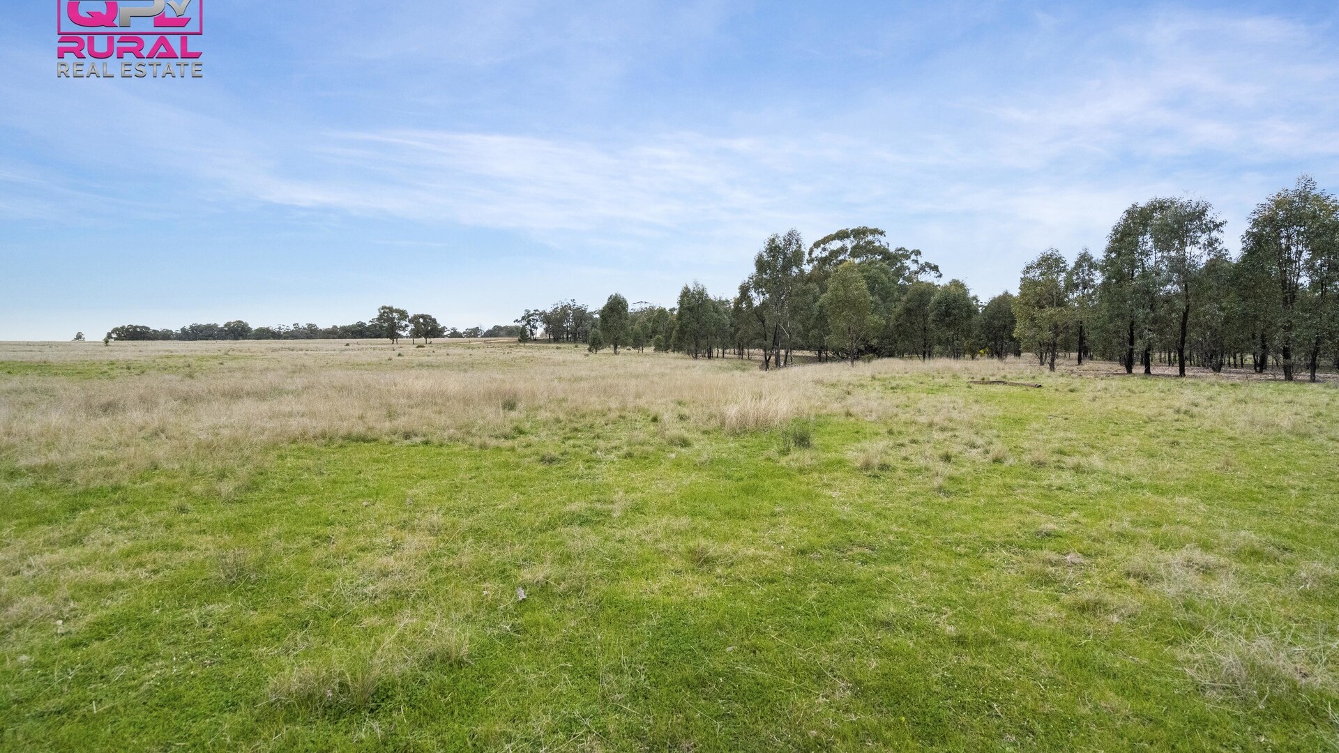 186 Sheriffs Road, Temora NSW 2666 - photo 9
