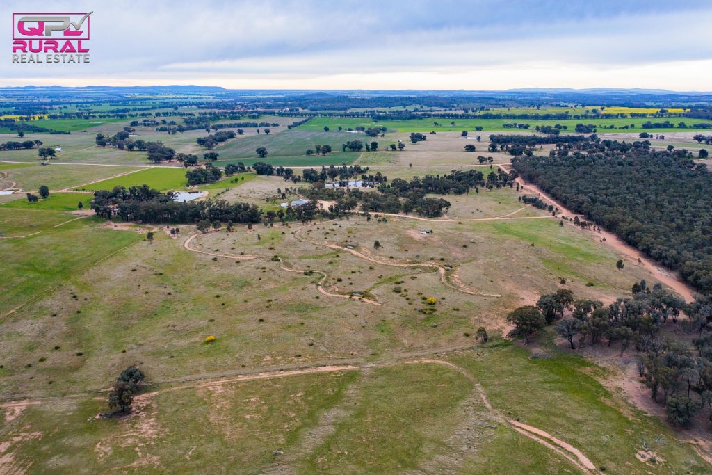 186 Sheriffs Road, Temora NSW 2666 - photo 10