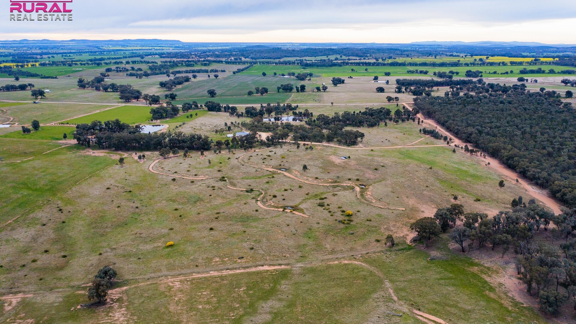 186 Sheriffs Road, Temora NSW 2666 - photo 10