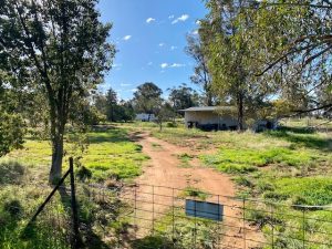 42 Lachlan Street, Grong Grong NSW 2652 - photo 4