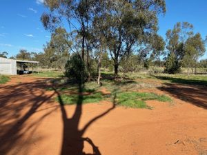 42 Lachlan Street, Grong Grong NSW 2652 - photo 5