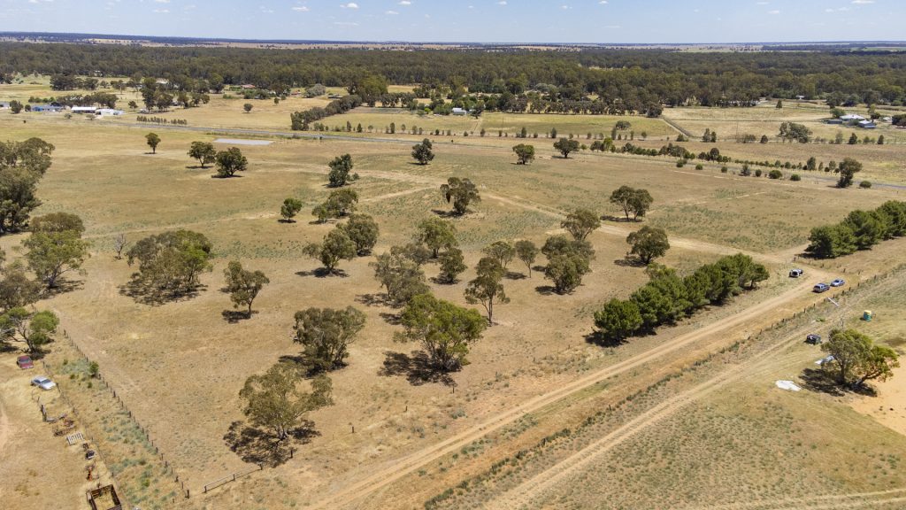 8 Hillview Close, Narrandera NSW 2700 - photo 2