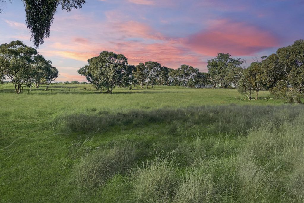 11 Hillview Close, Narrandera NSW 2700 - photo 3