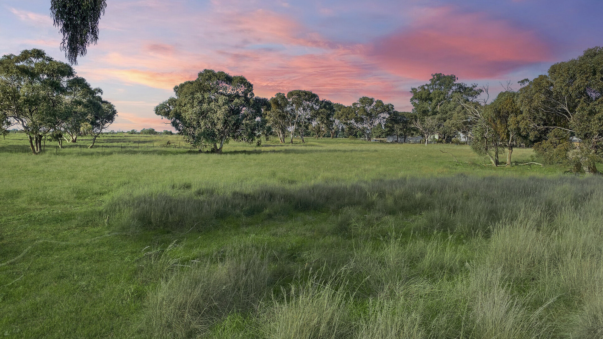 11 Hillview Close, Narrandera NSW 2700 - photo 3
