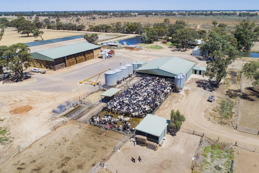 1/2298 Burraboi Road, Wakool NSW 2710 - photo 13