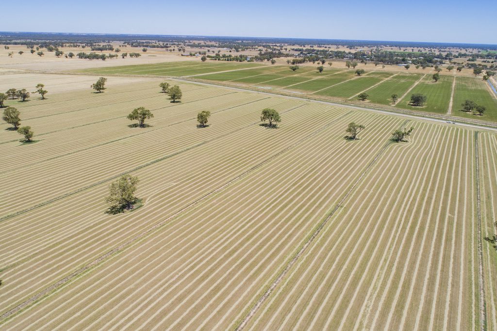 1/2298 Burraboi Road, Wakool NSW 2710 - photo 5
