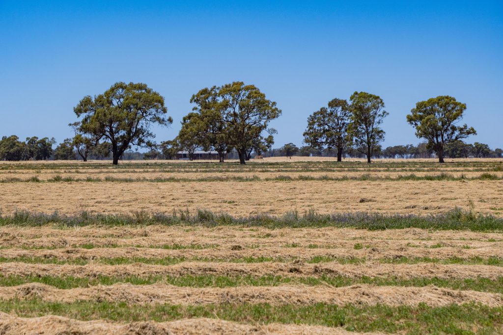 1/2298 Burraboi Road, Wakool NSW 2710 - photo 7