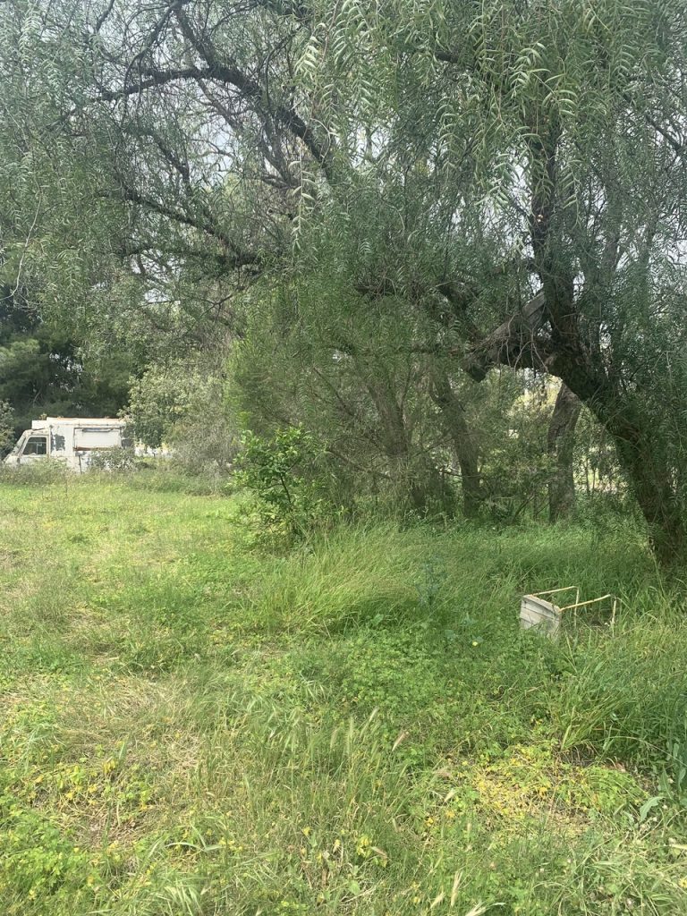 15-17 Gundagai Street, Narrandera NSW 2700 - photo 3