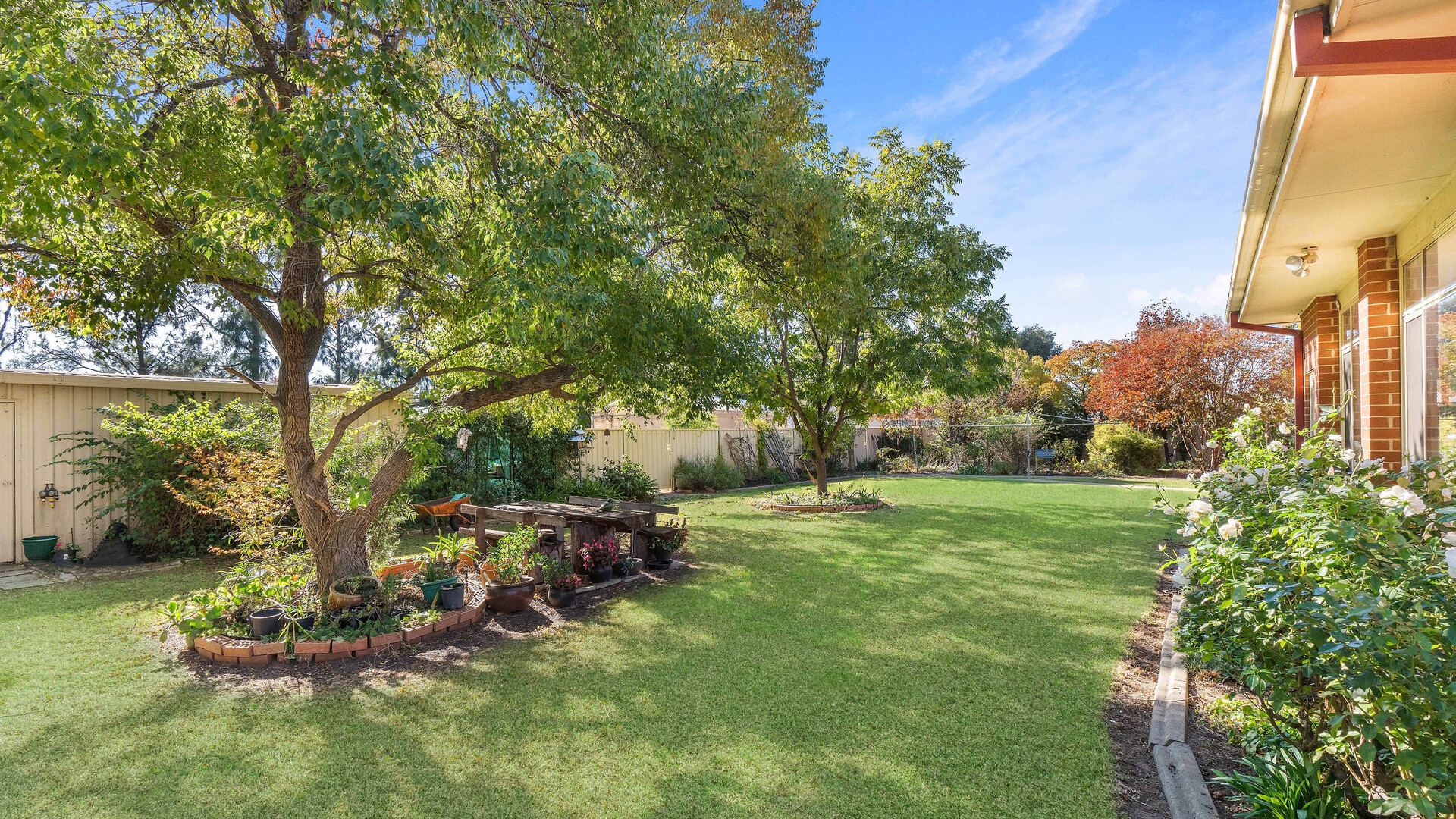 4 Guild Place, Leeton NSW 2705 - photo 5