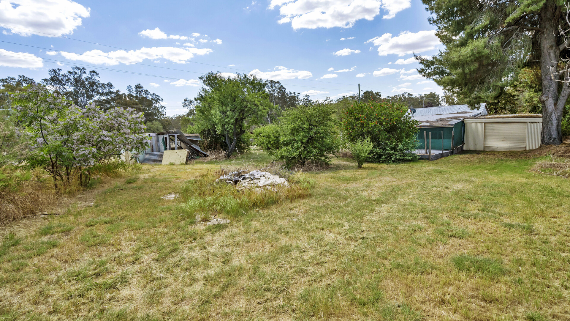 48 Hankinson Street, Narrandera NSW 2700 - photo 12
