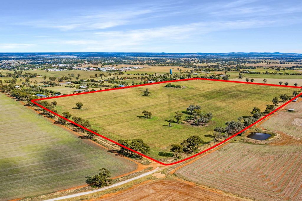 7853 Burley Griffin Way, Temora NSW 2666 - photo 2