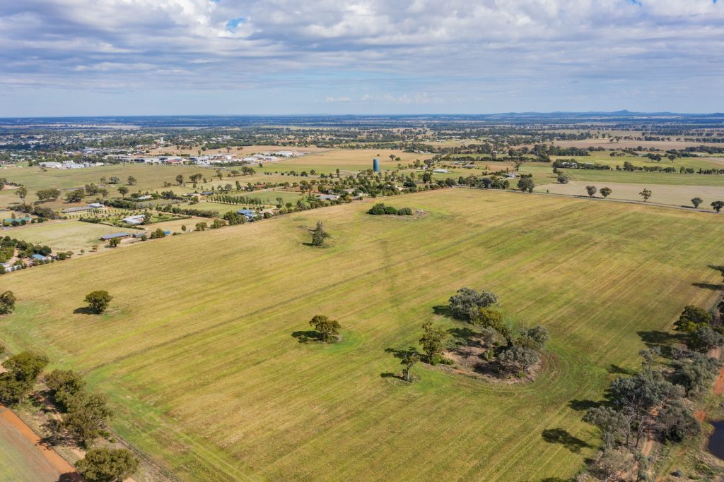 7853 Burley Griffin Way, Temora NSW 2666 - photo 11