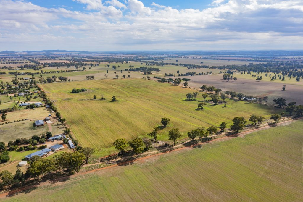 7853 Burley Griffin Way, Temora NSW 2666 - photo 12