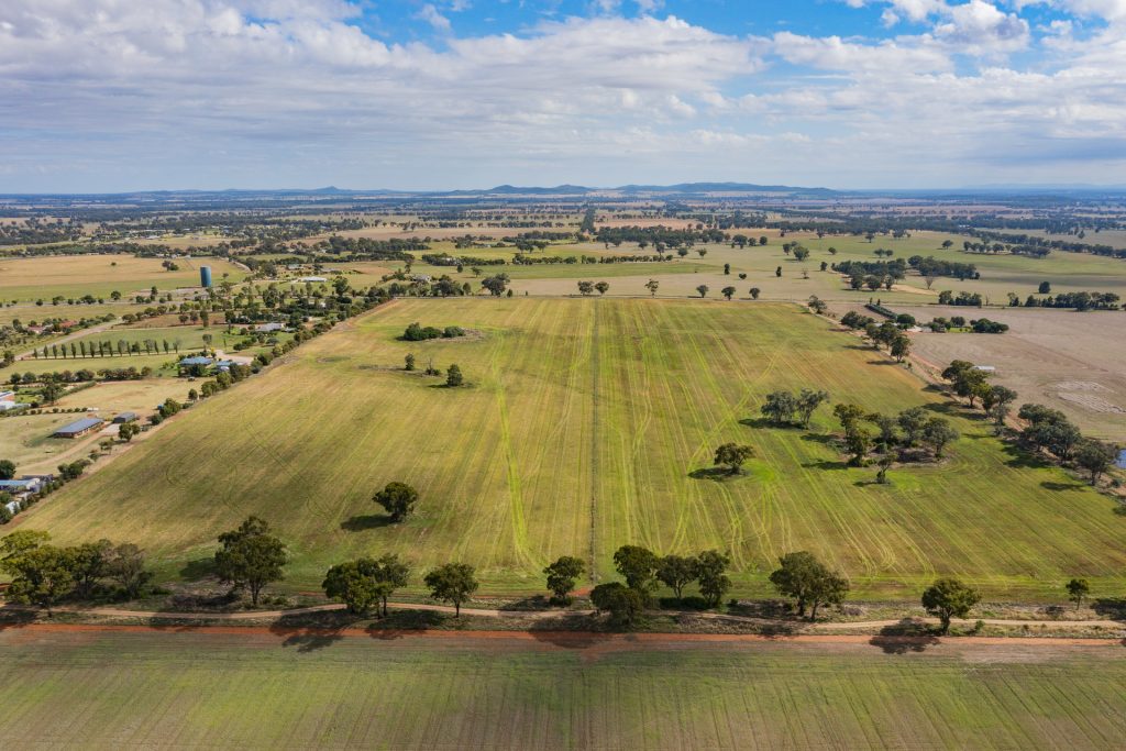 7853 Burley Griffin Way, Temora NSW 2666 - photo 14