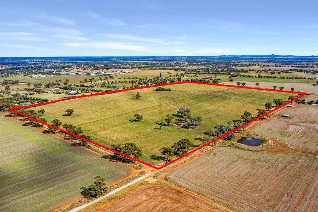 7853 Burley Griffin Way, Temora NSW 2666 - photo 15