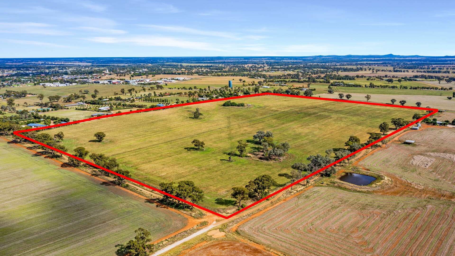 7853 Burley Griffin Way, Temora NSW 2666 - photo 15