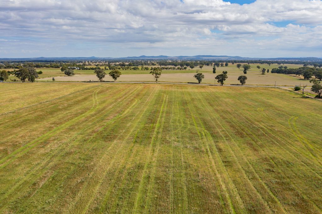 7853 Burley Griffin Way, Temora NSW 2666 - photo 5