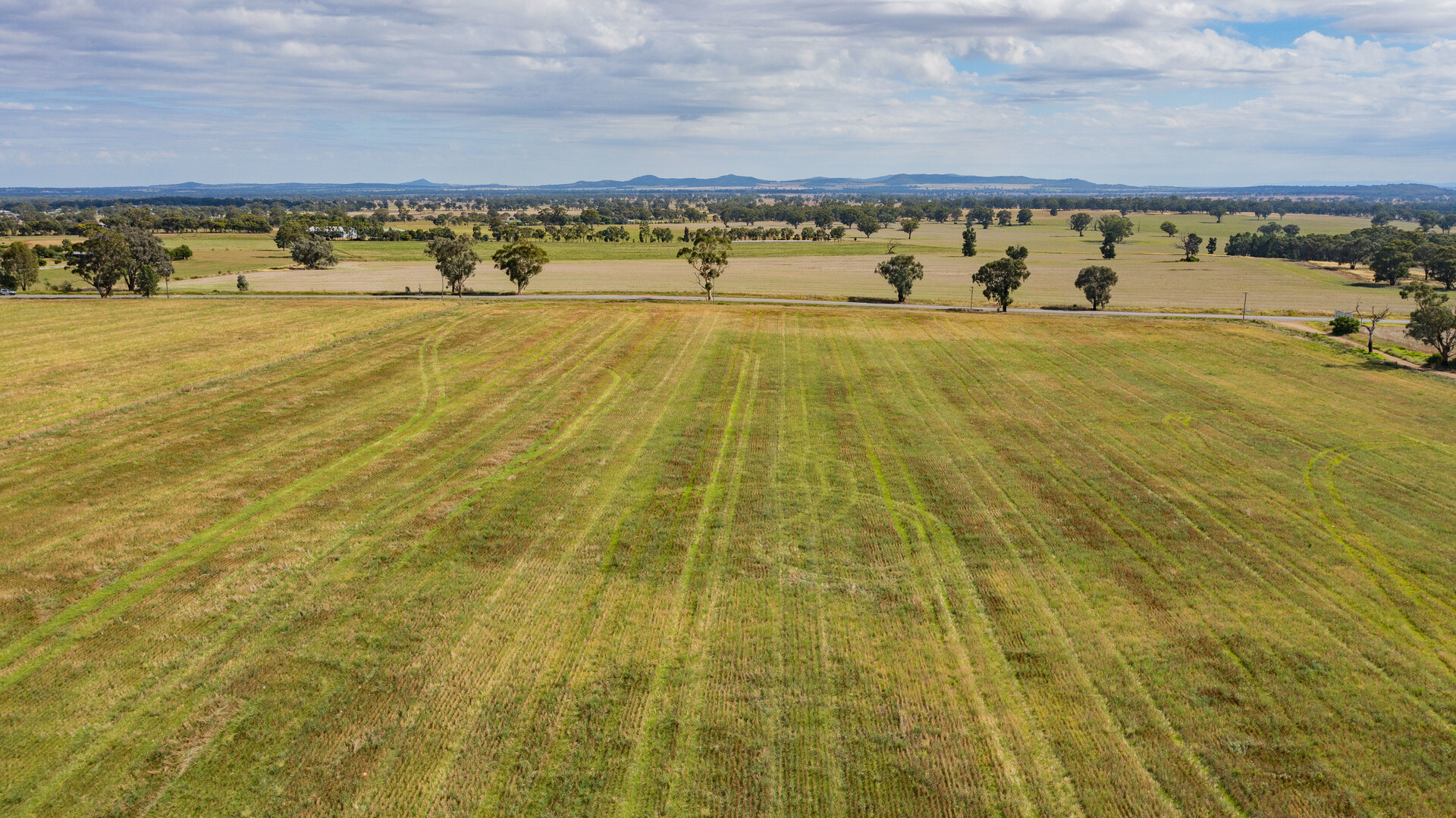 7853 Burley Griffin Way, Temora NSW 2666 - photo 5