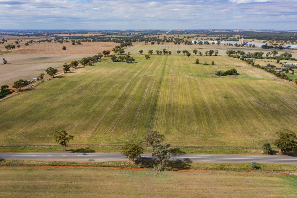 7853 Burley Griffin Way, Temora NSW 2666 - photo 6