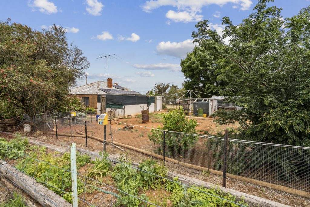 34 Berrembed Street, Grong Grong NSW 2652 - photo 9