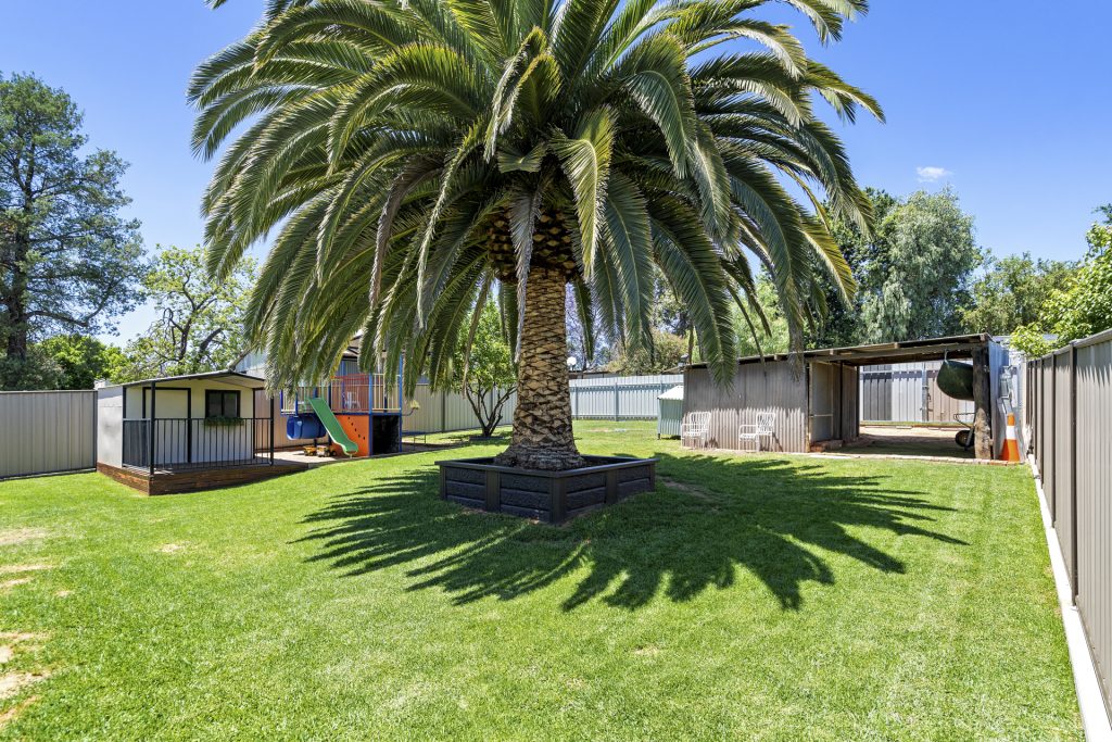 22 Larmer Street, Narrandera NSW 2700 - photo 10
