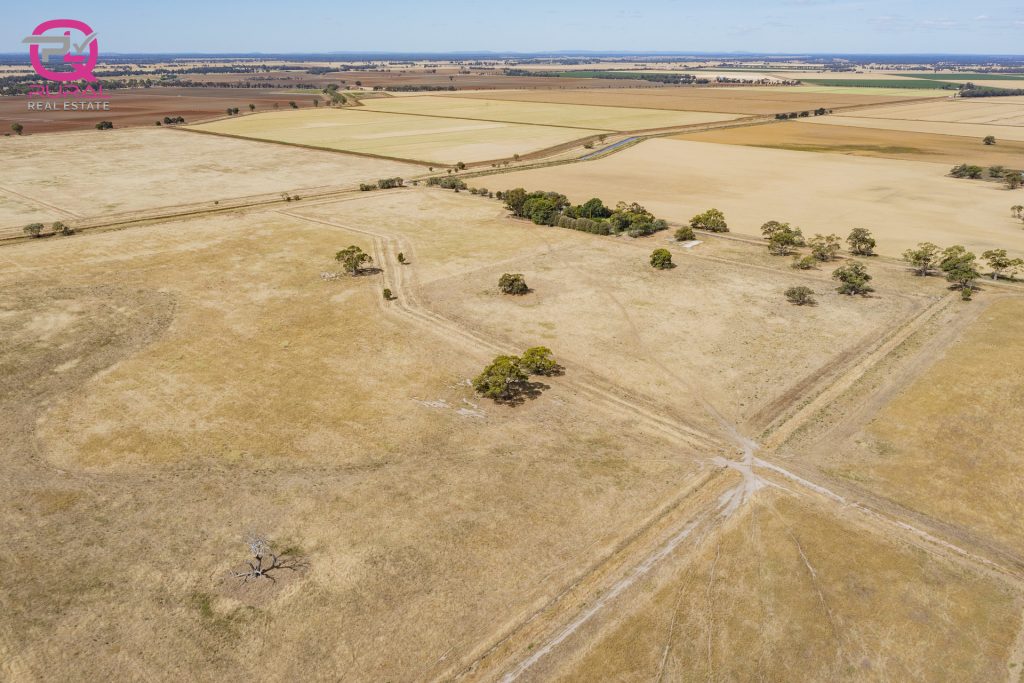 243 Mellington Road, Coleambally NSW 2707 - photo 12