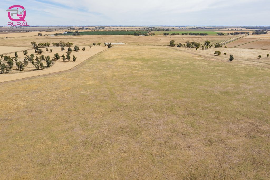 243 Mellington Road, Coleambally NSW 2707 - photo 13