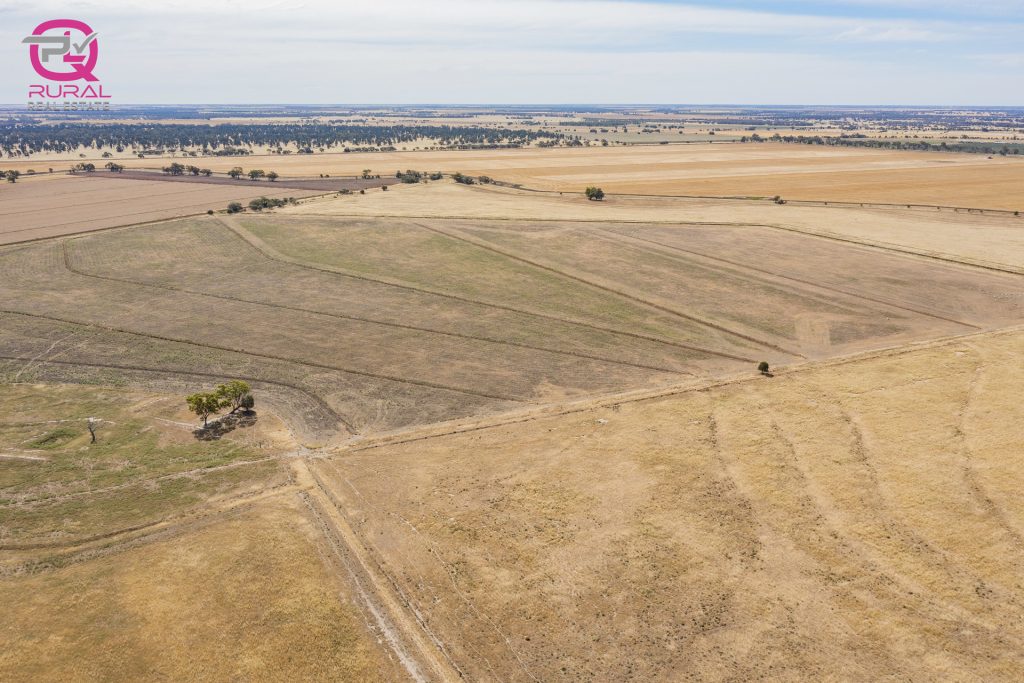 243 Mellington Road, Coleambally NSW 2707 - photo 15