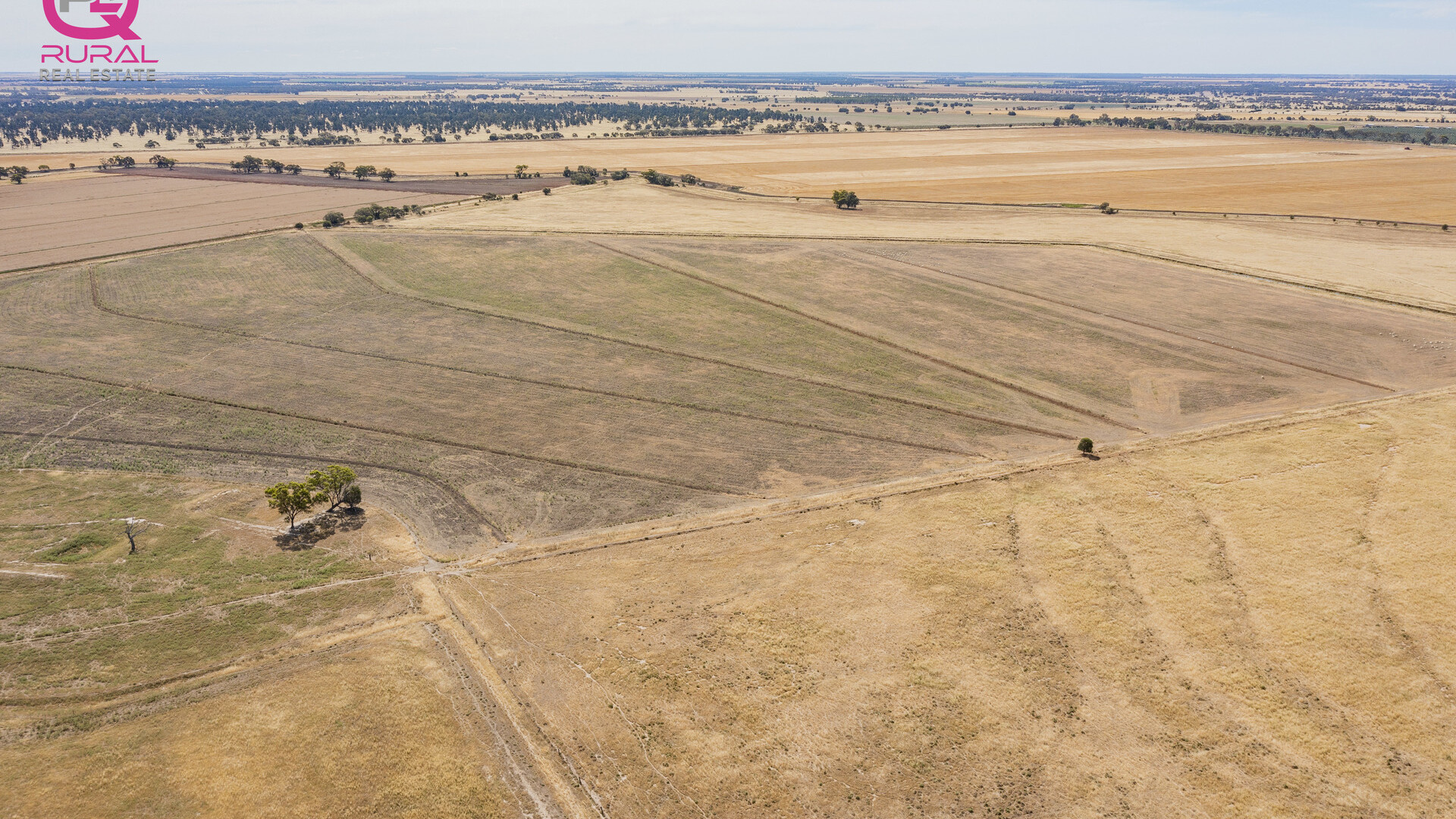 243 Mellington Road, Coleambally NSW 2707 - photo 15