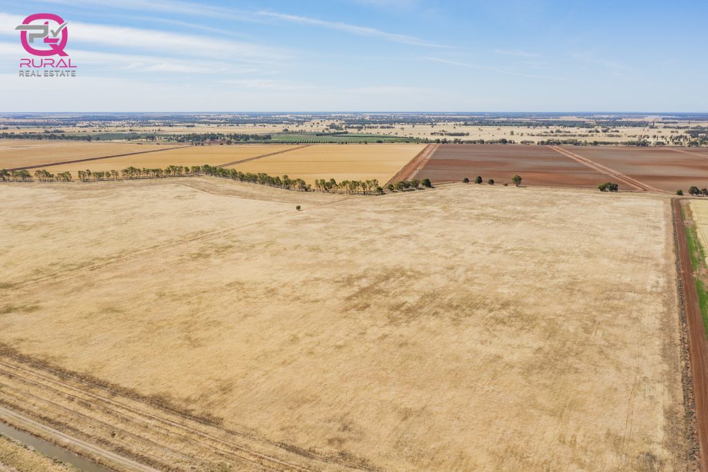 243 Mellington Road, Coleambally NSW 2707 - photo 10
